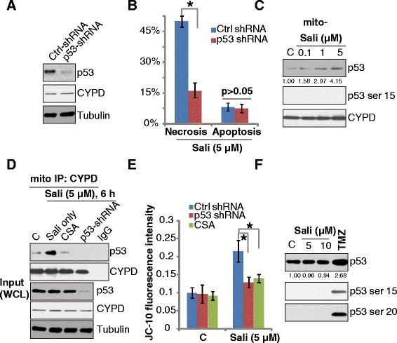 https://cdn.ncbi.nlm.nih.gov/pmc/blobs/8ea4/4486428/f651fc17449c/13046_2015_174_Fig4_HTML.jpg