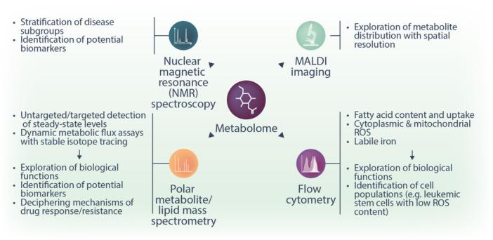 https://cdn.ncbi.nlm.nih.gov/pmc/blobs/8ea7/12086526/49103a127513/HEM3-9-e70134-g002.jpg