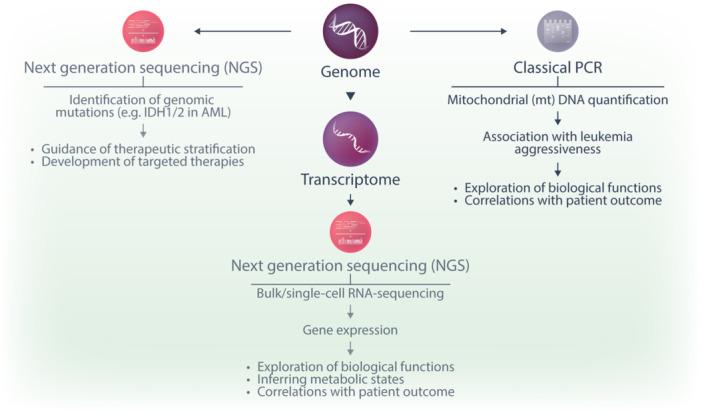 https://cdn.ncbi.nlm.nih.gov/pmc/blobs/8ea7/12086526/e448decd74e6/HEM3-9-e70134-g003.jpg