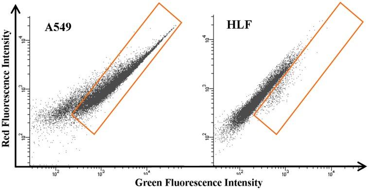 https://cdn.ncbi.nlm.nih.gov/pmc/blobs/8ea8/3548802/1243e4baef63/pone.0054467.g002.jpg