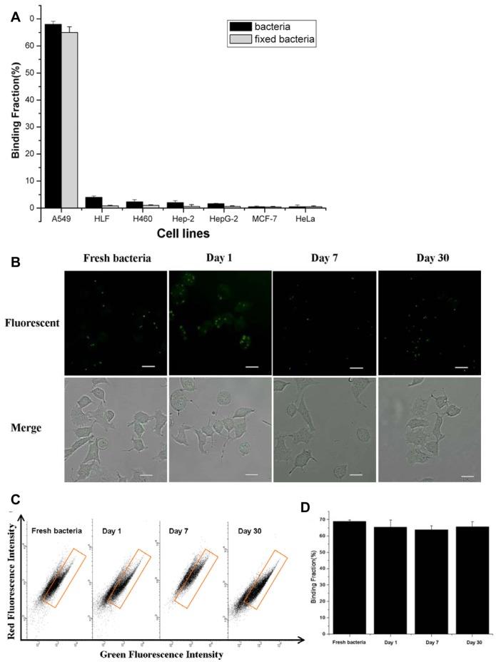 https://cdn.ncbi.nlm.nih.gov/pmc/blobs/8ea8/3548802/a00902776b87/pone.0054467.g004.jpg