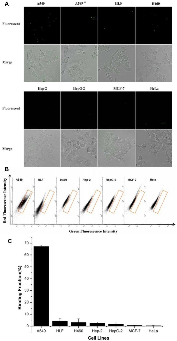 https://cdn.ncbi.nlm.nih.gov/pmc/blobs/8ea8/3548802/c719274a2cde/pone.0054467.g003.jpg