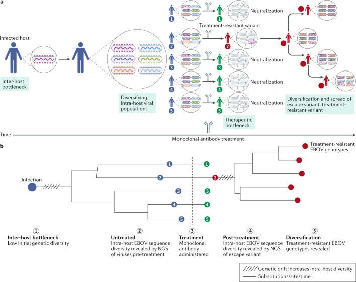 https://cdn.ncbi.nlm.nih.gov/pmc/blobs/8ea9/7223634/257bd1d0f132/41579_2020_354_Fig6_HTML.jpg