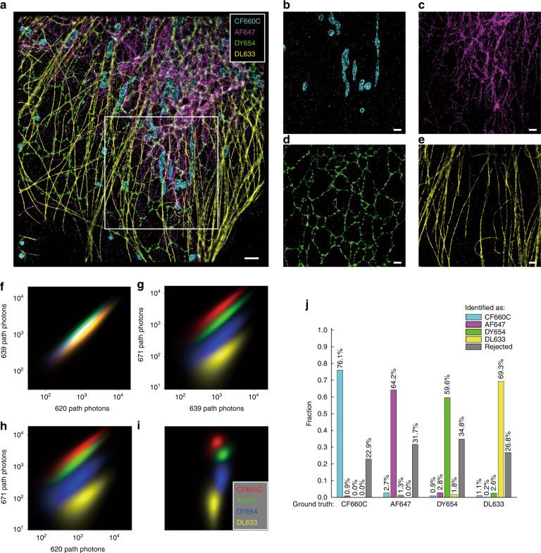 https://cdn.ncbi.nlm.nih.gov/pmc/blobs/8ea9/9806106/e1ee4994c6e0/41377_2022_1054_Fig4_HTML.jpg