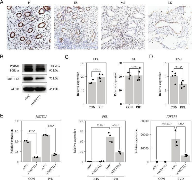 https://cdn.ncbi.nlm.nih.gov/pmc/blobs/8eaa/9945998/d8f645be3c5d/pnas.2214684120fig08.jpg