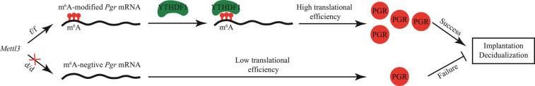https://cdn.ncbi.nlm.nih.gov/pmc/blobs/8eaa/9945998/db39b00e85bf/pnas.2214684120fig09.jpg