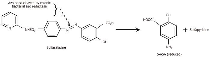 https://cdn.ncbi.nlm.nih.gov/pmc/blobs/8eac/12264756/0b50f407ef14/wjg-31-26-108375-g003.jpg