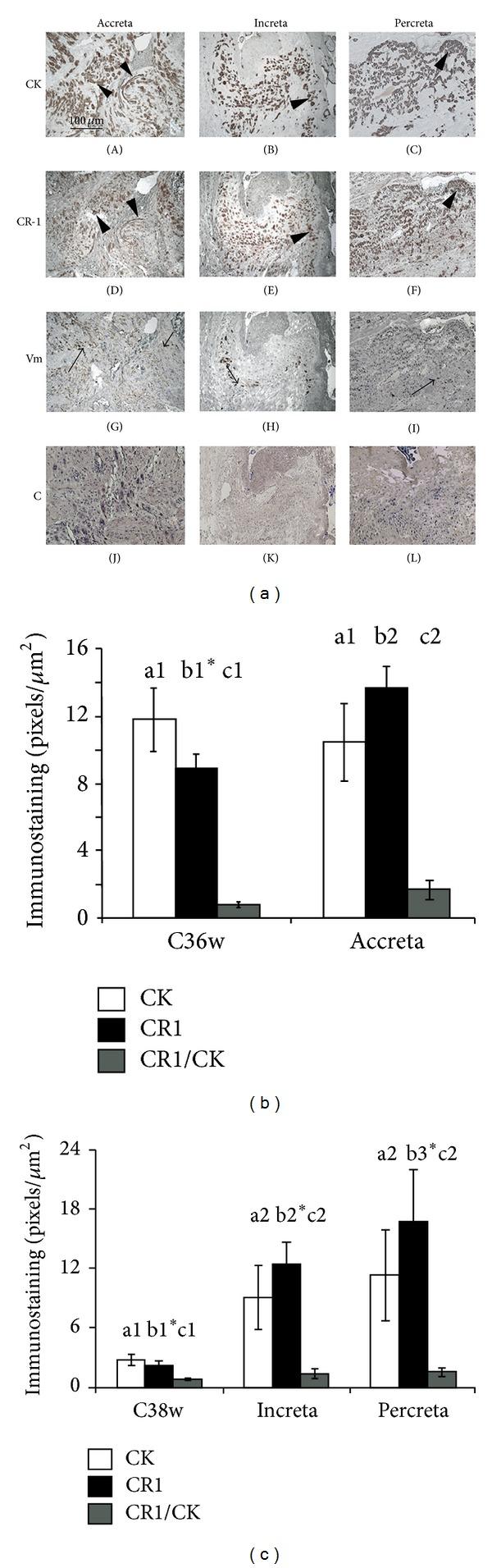 https://cdn.ncbi.nlm.nih.gov/pmc/blobs/8eac/4140153/eee6a2020047/BMRI2014-892856.003.jpg