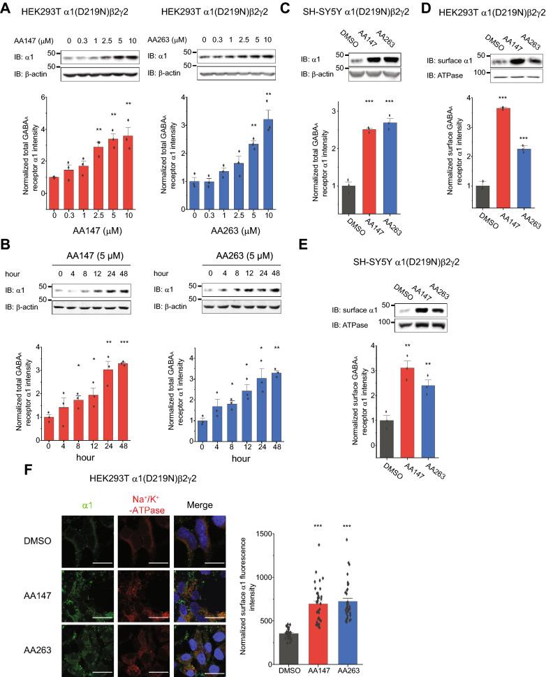 https://cdn.ncbi.nlm.nih.gov/pmc/blobs/8ead/9044816/4c57c12b1f38/13578_2022_783_Fig1_HTML.jpg