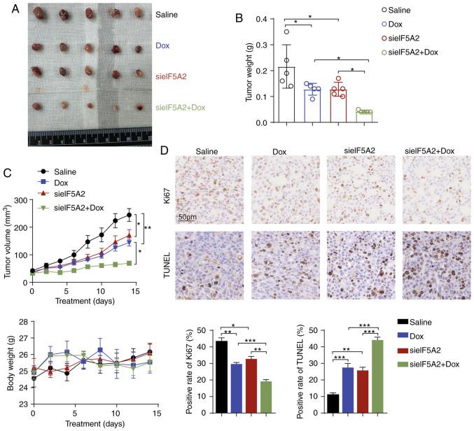 https://cdn.ncbi.nlm.nih.gov/pmc/blobs/8eae/7646588/a2948db0636a/IJO-57-06-1368-g01.jpg