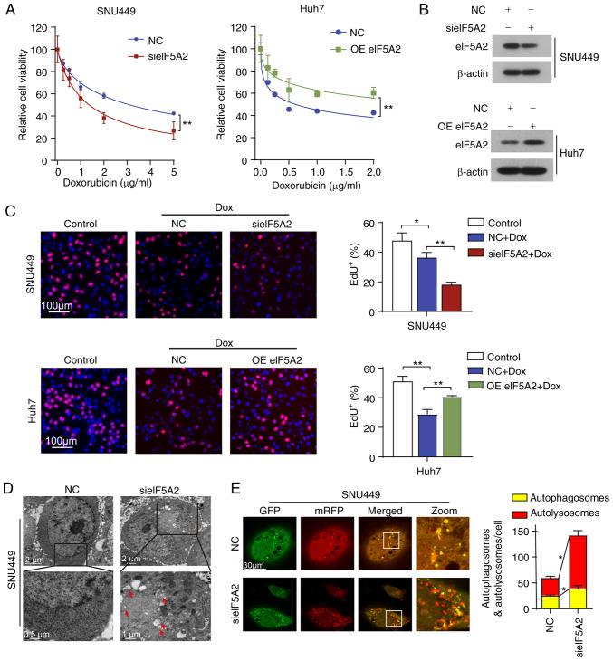 https://cdn.ncbi.nlm.nih.gov/pmc/blobs/8eae/7646588/b9663b6d8696/IJO-57-06-1368-g02.jpg