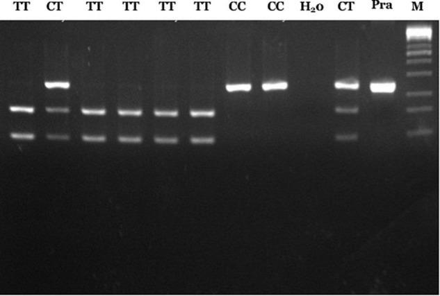 https://cdn.ncbi.nlm.nih.gov/pmc/blobs/8eae/8960445/db3e8b2999c5/fped-10-842820-g001.jpg