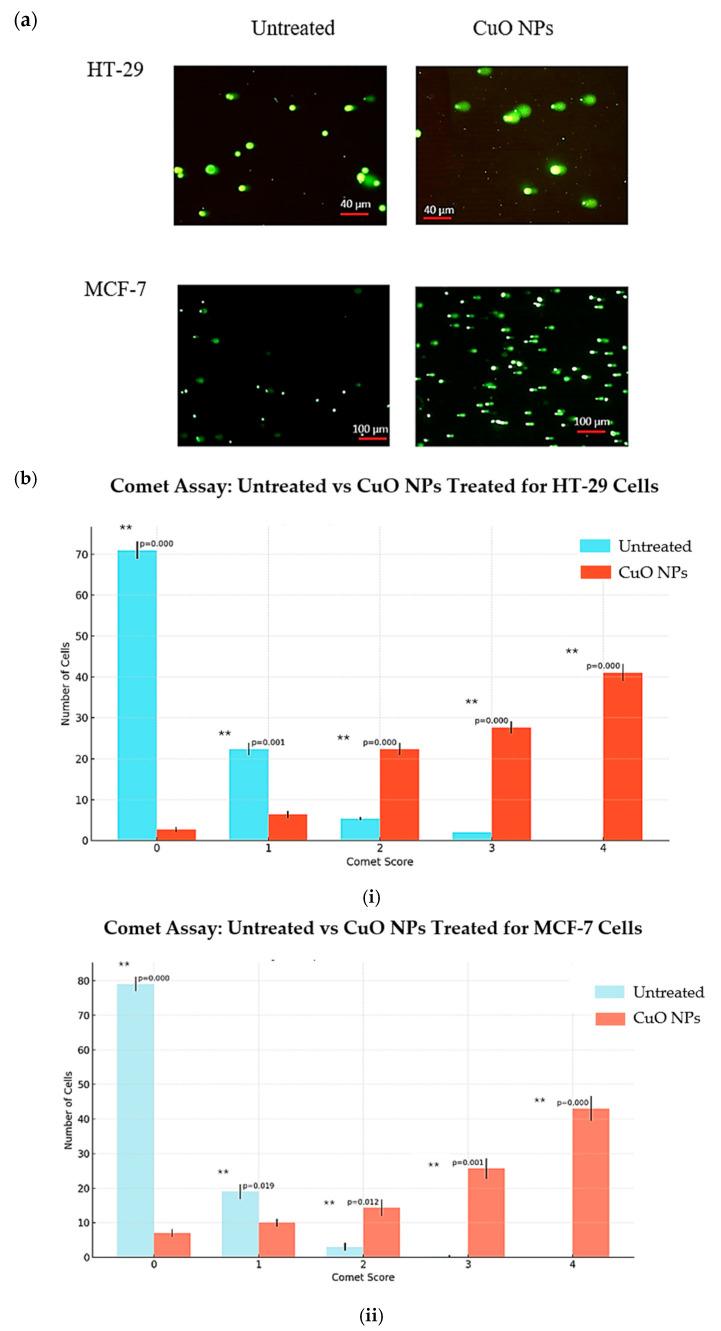 https://cdn.ncbi.nlm.nih.gov/pmc/blobs/8eaf/12347094/a1054beae491/ijms-26-07267-g009.jpg