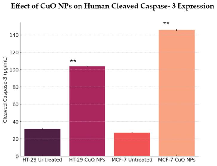https://cdn.ncbi.nlm.nih.gov/pmc/blobs/8eaf/12347094/b9c283d212b8/ijms-26-07267-g008.jpg