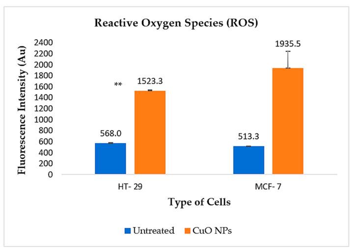 https://cdn.ncbi.nlm.nih.gov/pmc/blobs/8eaf/12347094/fa66ff926f69/ijms-26-07267-g010.jpg