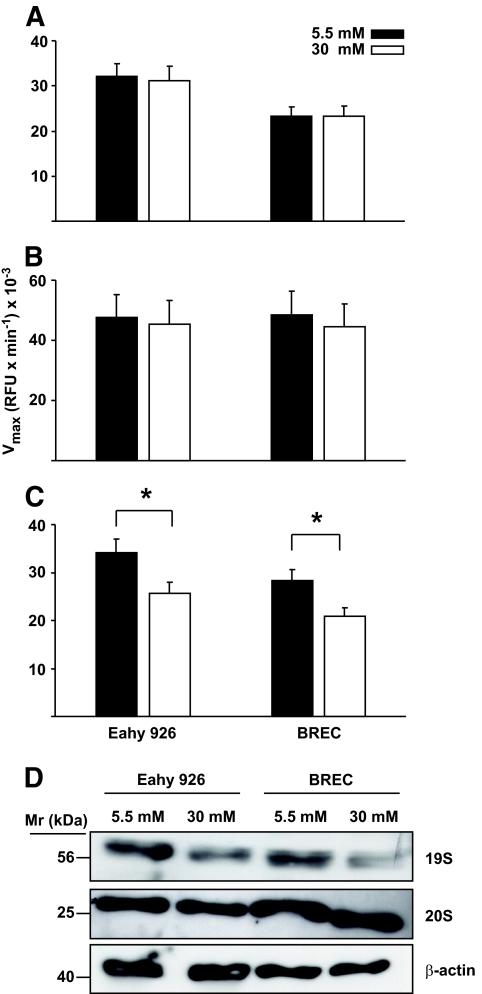 https://cdn.ncbi.nlm.nih.gov/pmc/blobs/8eaf/2828656/1052c0993078/zdb0031060400001.jpg
