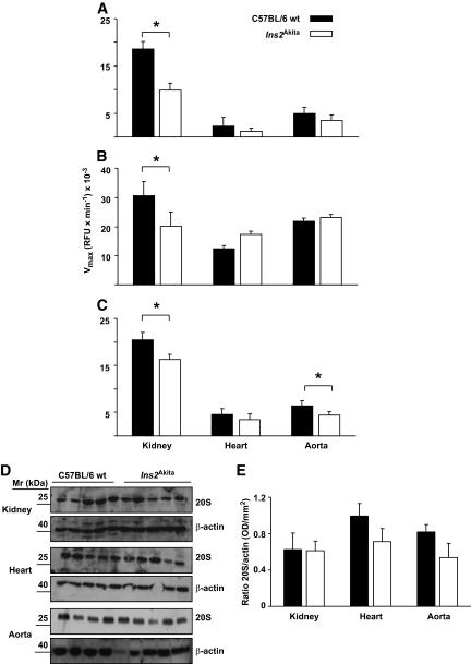 https://cdn.ncbi.nlm.nih.gov/pmc/blobs/8eaf/2828656/88b2f0460d1c/zdb0031060400005.jpg