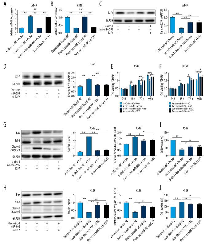 https://cdn.ncbi.nlm.nih.gov/pmc/blobs/8eaf/7297023/2138cf7753bd/medscimonit-26-e921200-g004.jpg