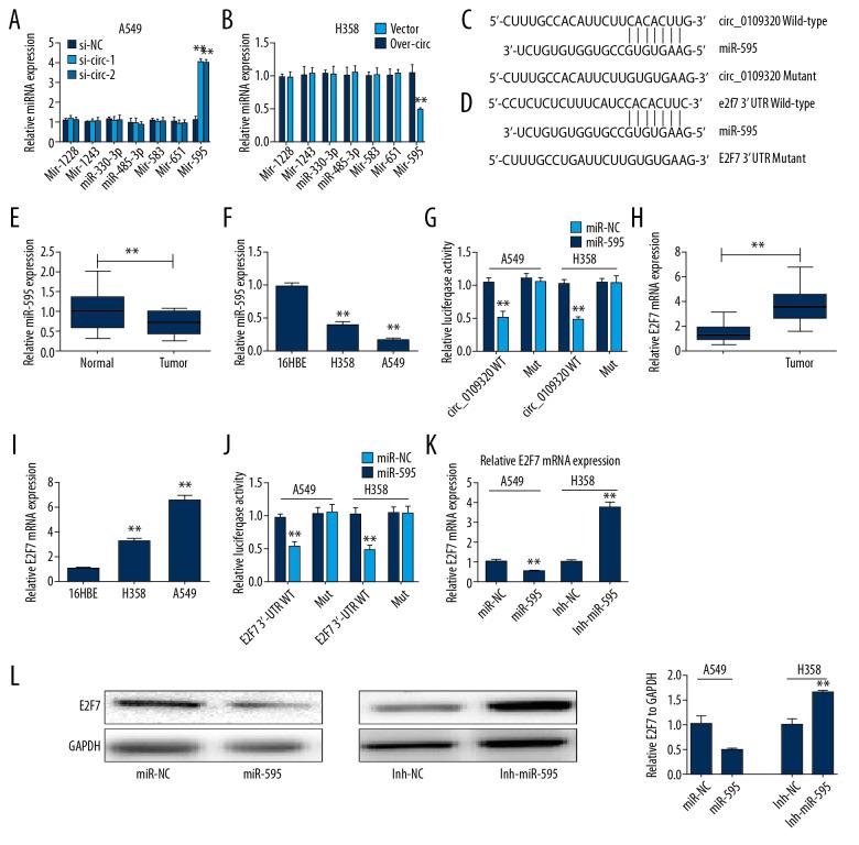 https://cdn.ncbi.nlm.nih.gov/pmc/blobs/8eaf/7297023/47d064cd8915/medscimonit-26-e921200-g003.jpg