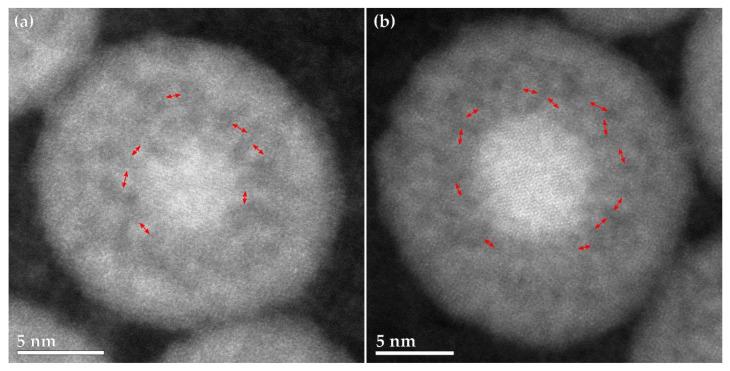 https://cdn.ncbi.nlm.nih.gov/pmc/blobs/8eaf/8877599/27637fd6edbd/materials-15-01557-g005.jpg