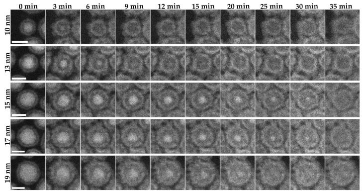 https://cdn.ncbi.nlm.nih.gov/pmc/blobs/8eaf/8877599/62114a44c6a2/materials-15-01557-g004.jpg
