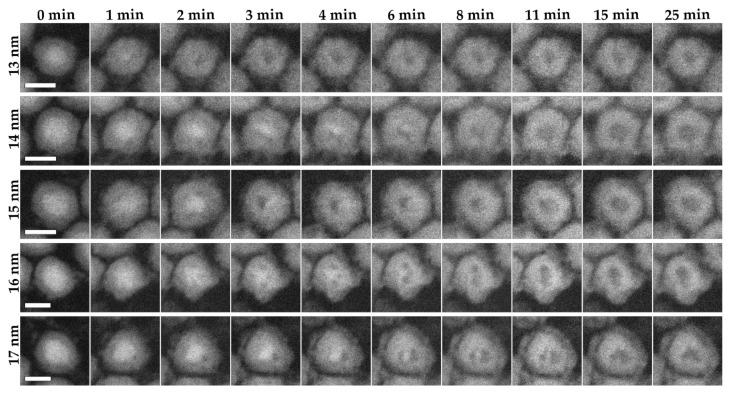 https://cdn.ncbi.nlm.nih.gov/pmc/blobs/8eaf/8877599/a75e5d72faab/materials-15-01557-g003.jpg