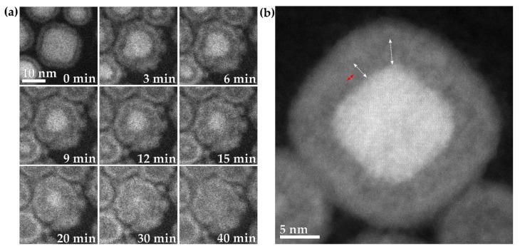 https://cdn.ncbi.nlm.nih.gov/pmc/blobs/8eaf/8877599/b0d9ebdb1162/materials-15-01557-g007.jpg