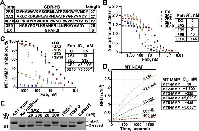 https://cdn.ncbi.nlm.nih.gov/pmc/blobs/8eb1/5356841/9e2651b60f26/oncotarget-08-2781-g001.jpg