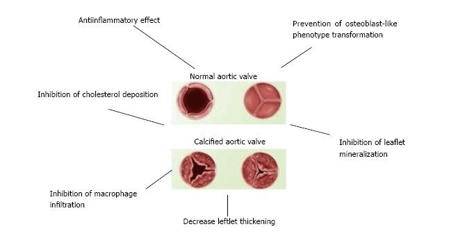 https://cdn.ncbi.nlm.nih.gov/pmc/blobs/8eb1/5583539/13909cda8cf9/WJC-9-667-g001.jpg