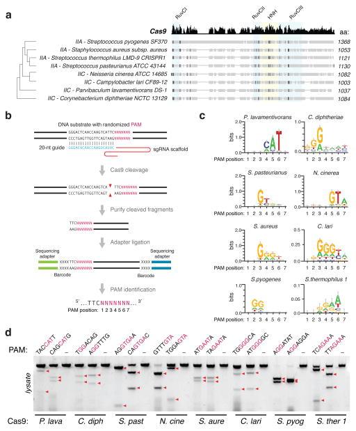 https://cdn.ncbi.nlm.nih.gov/pmc/blobs/8eb2/4393360/83c31ae763ed/nihms661947f1.jpg