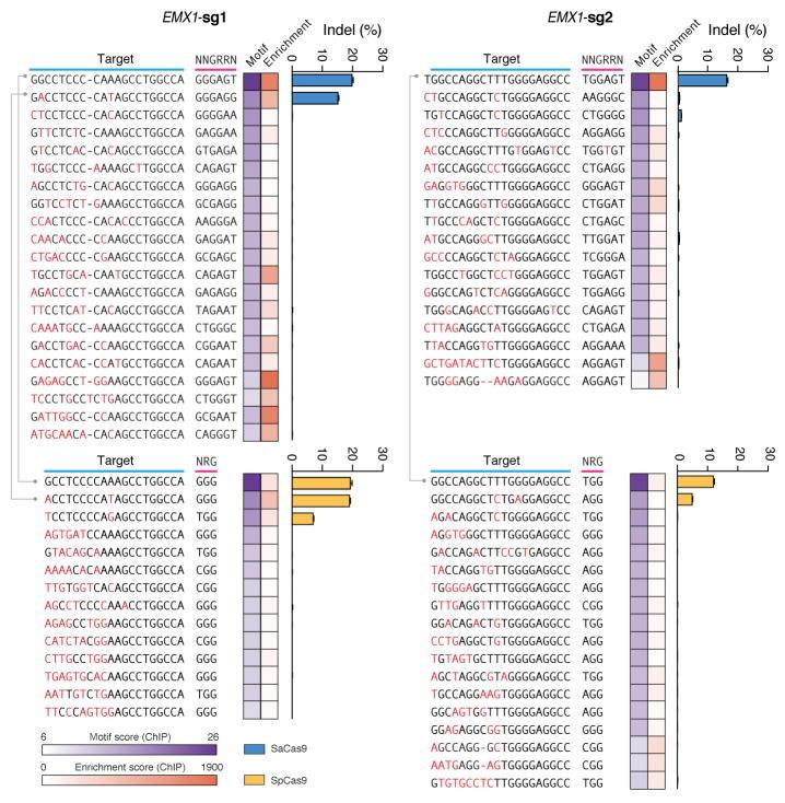 https://cdn.ncbi.nlm.nih.gov/pmc/blobs/8eb2/4393360/9e05fe7442e1/nihms661947f11.jpg