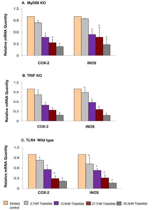 https://cdn.ncbi.nlm.nih.gov/pmc/blobs/8eb4/2873377/b95c032fde14/1472-6769-10-3-3.jpg