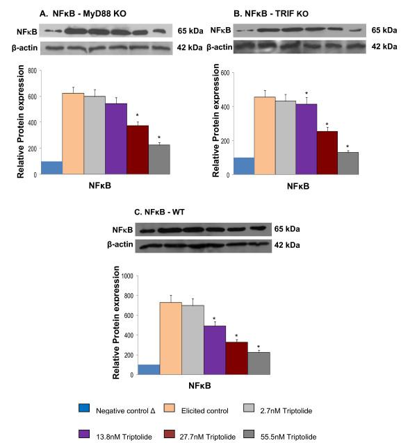 https://cdn.ncbi.nlm.nih.gov/pmc/blobs/8eb4/2873377/f94bfa6046f0/1472-6769-10-3-2.jpg