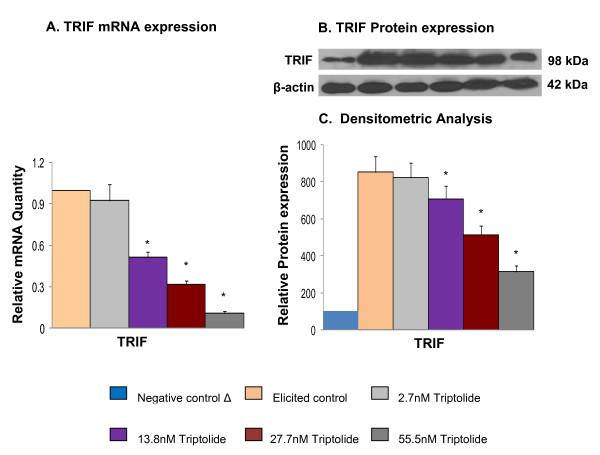https://cdn.ncbi.nlm.nih.gov/pmc/blobs/8eb4/2873377/ff4cbf85ed35/1472-6769-10-3-4.jpg