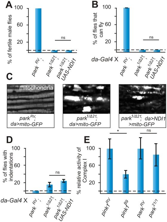 https://cdn.ncbi.nlm.nih.gov/pmc/blobs/8eb6/3252300/79ac32c4dc73/pgen.1002456.g004.jpg