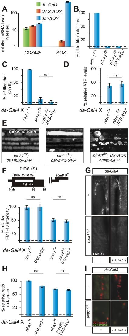 https://cdn.ncbi.nlm.nih.gov/pmc/blobs/8eb6/3252300/a6e854db1844/pgen.1002456.g002.jpg