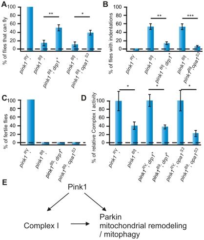 https://cdn.ncbi.nlm.nih.gov/pmc/blobs/8eb6/3252300/d2e9bf4ddf7b/pgen.1002456.g005.jpg