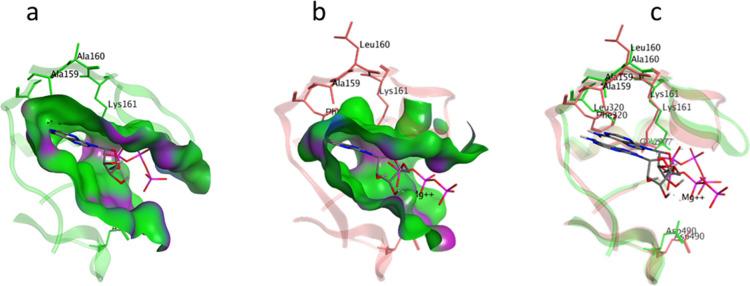 https://cdn.ncbi.nlm.nih.gov/pmc/blobs/8eb6/9709917/0f9f70463df5/ci2c00832_0007.jpg