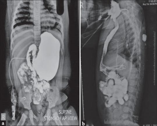 https://cdn.ncbi.nlm.nih.gov/pmc/blobs/8eb8/11968038/5c5f14388df5/JIAPS-30-177-g001.jpg