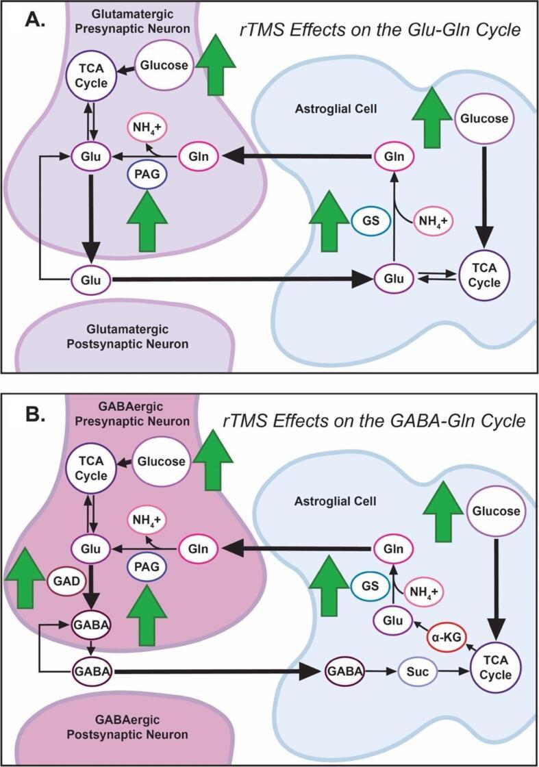https://cdn.ncbi.nlm.nih.gov/pmc/blobs/8eb9/9233277/fd9478c2cb0a/gr2.jpg