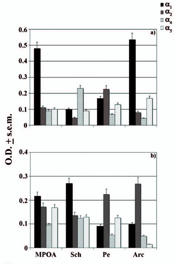 https://cdn.ncbi.nlm.nih.gov/pmc/blobs/8eba/2944354/0d9392deb2a3/1471-2202-11-111-3.jpg