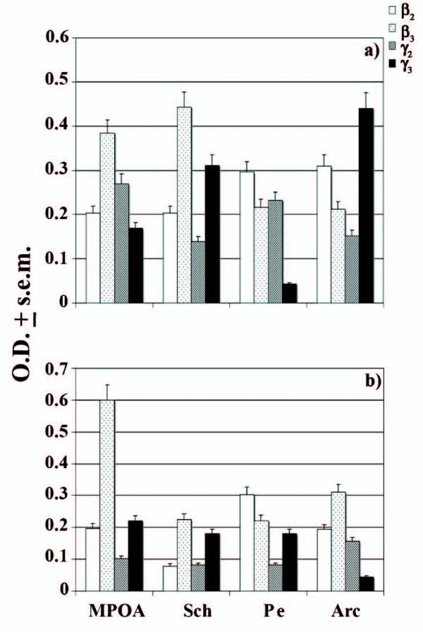 https://cdn.ncbi.nlm.nih.gov/pmc/blobs/8eba/2944354/b1825313822e/1471-2202-11-111-5.jpg