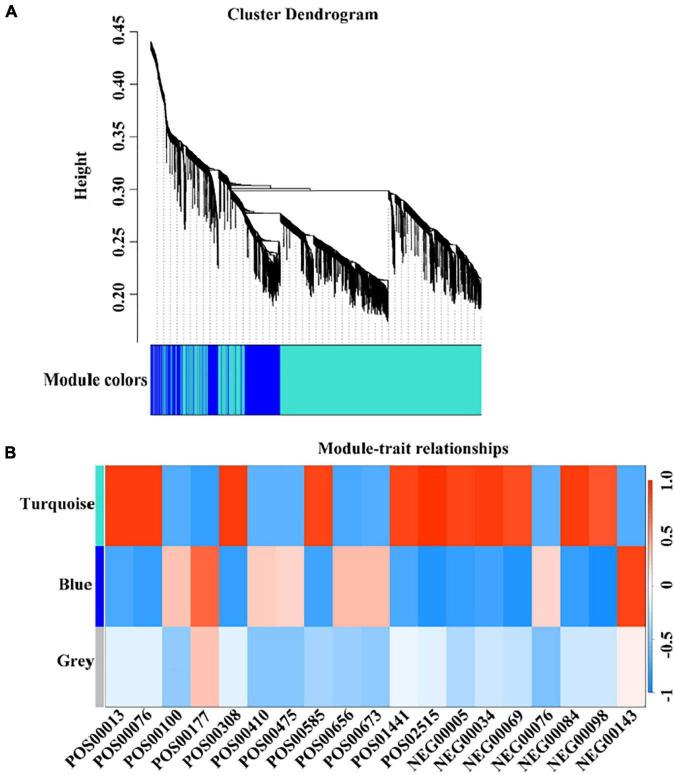 https://cdn.ncbi.nlm.nih.gov/pmc/blobs/8ebc/8640357/11ea06ec7ca7/fpls-12-760496-g006.jpg