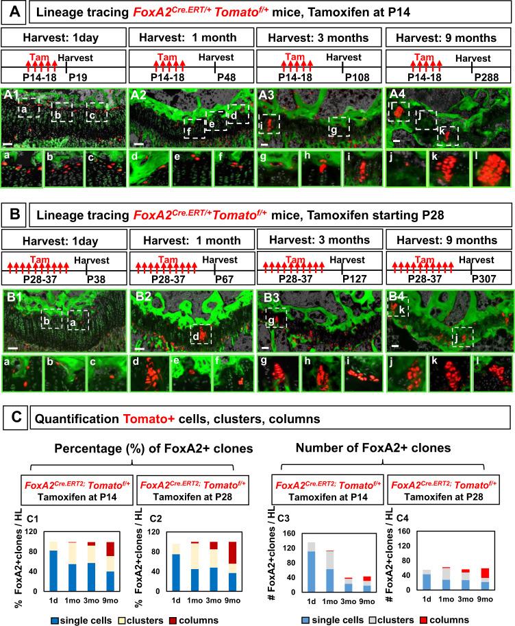 https://cdn.ncbi.nlm.nih.gov/pmc/blobs/8ebc/9076650/006853f846b4/41467_2022_30247_Fig4_HTML.jpg