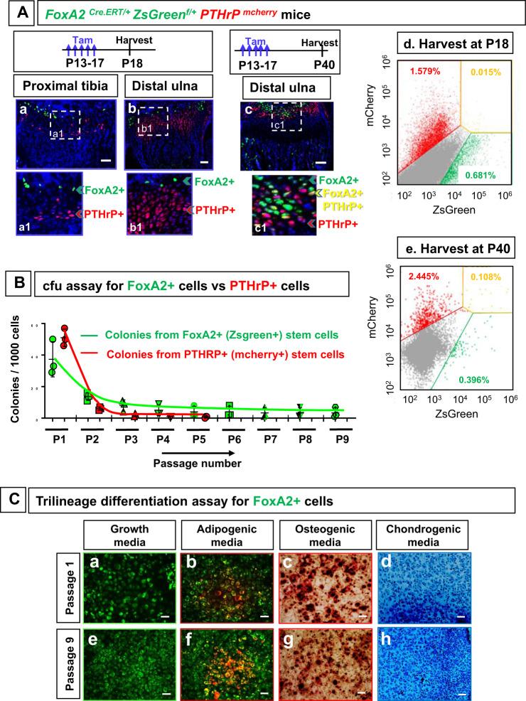 https://cdn.ncbi.nlm.nih.gov/pmc/blobs/8ebc/9076650/3628ac8c8bb4/41467_2022_30247_Fig3_HTML.jpg