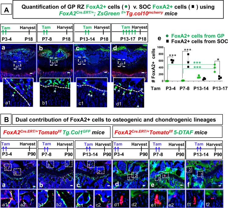 https://cdn.ncbi.nlm.nih.gov/pmc/blobs/8ebc/9076650/54e1a6212bb9/41467_2022_30247_Fig2_HTML.jpg