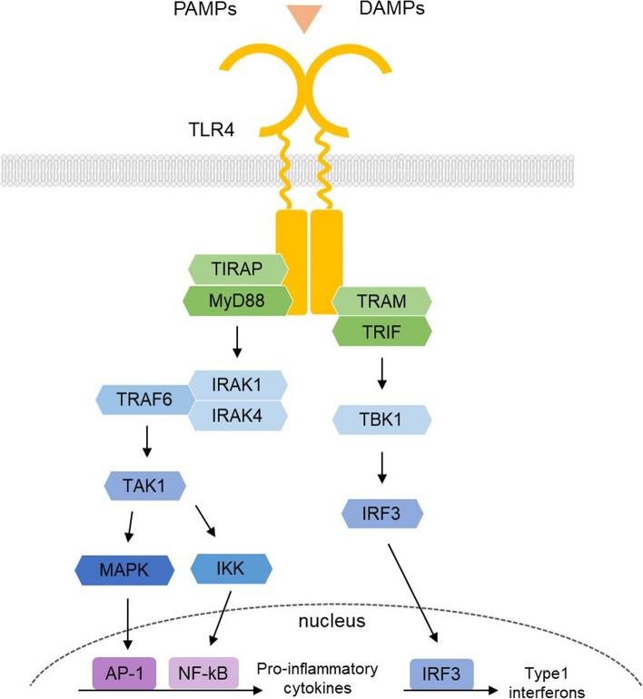 https://cdn.ncbi.nlm.nih.gov/pmc/blobs/8ebd/10668412/28663196fef1/12979_2023_383_Fig1_HTML.jpg