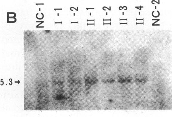 https://cdn.ncbi.nlm.nih.gov/pmc/blobs/8ebd/303866/ee9f8b782d03/jcinvest00086-0164-c.jpg