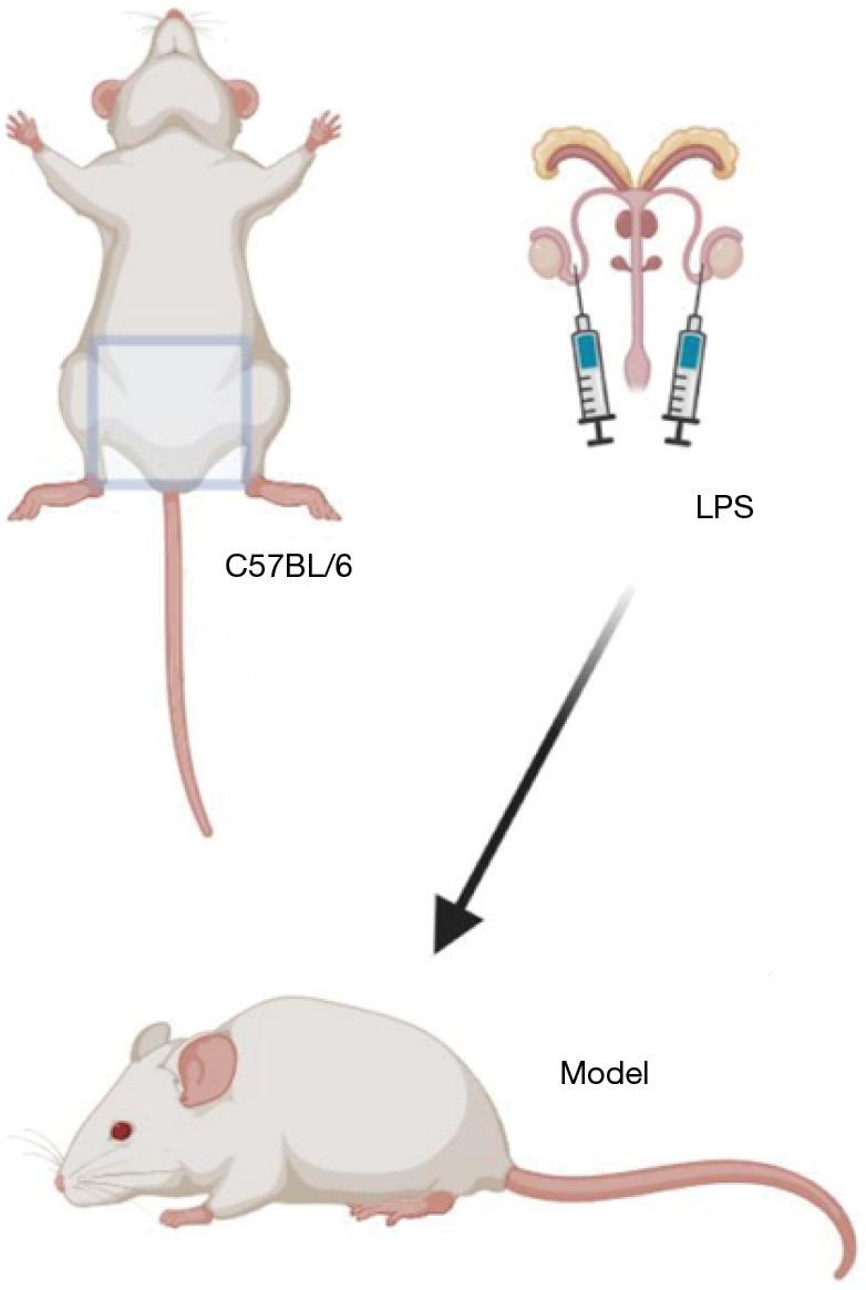 https://cdn.ncbi.nlm.nih.gov/pmc/blobs/8ebe/11650350/14e9c06a4669/tau-13-11-2553-f1.jpg
