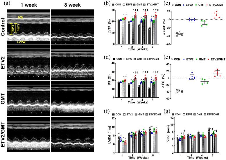 https://cdn.ncbi.nlm.nih.gov/pmc/blobs/8ebe/8738857/cc81a5d8cacf/10.1177_2041731420953413-fig3.jpg